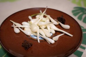 エシャレット　230617 (1 - 1)